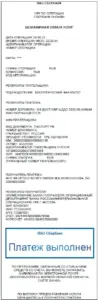 Шаг 10. Вторая квитанция (на меньшую сумму) оплачена. Сохраните чек в электронном виде.